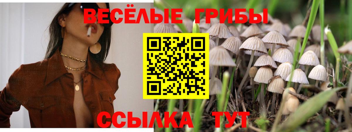 Керчь  Псилоцибиновые грибы мухоморы  Вход с VPN 